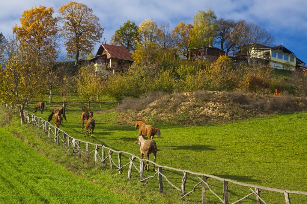Country House Na Malenom Brijegu Bjelovar Bilik gambar
